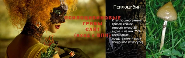 стафф Белокуриха