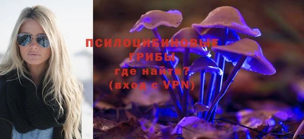 молекула духа Белоозёрский