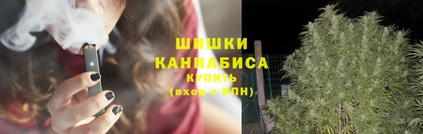 молекула духа Белоозёрский