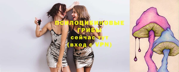 стафф Белокуриха
