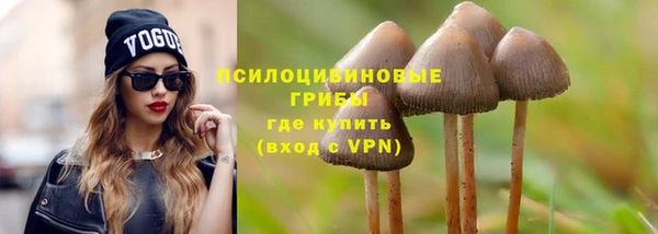 стафф Белокуриха