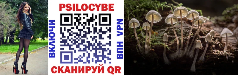 Галлюциногенные грибы Magic Shrooms  наркошоп  Долинск 