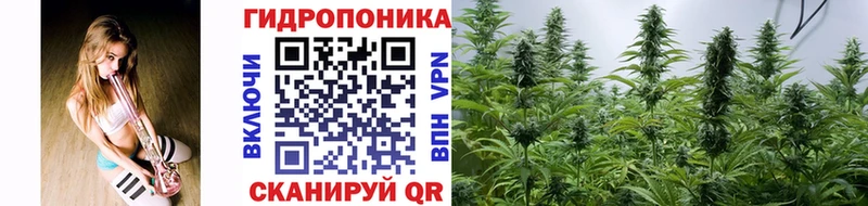 Марихуана White Widow kraken маркетплейс Долинск купить закладку
